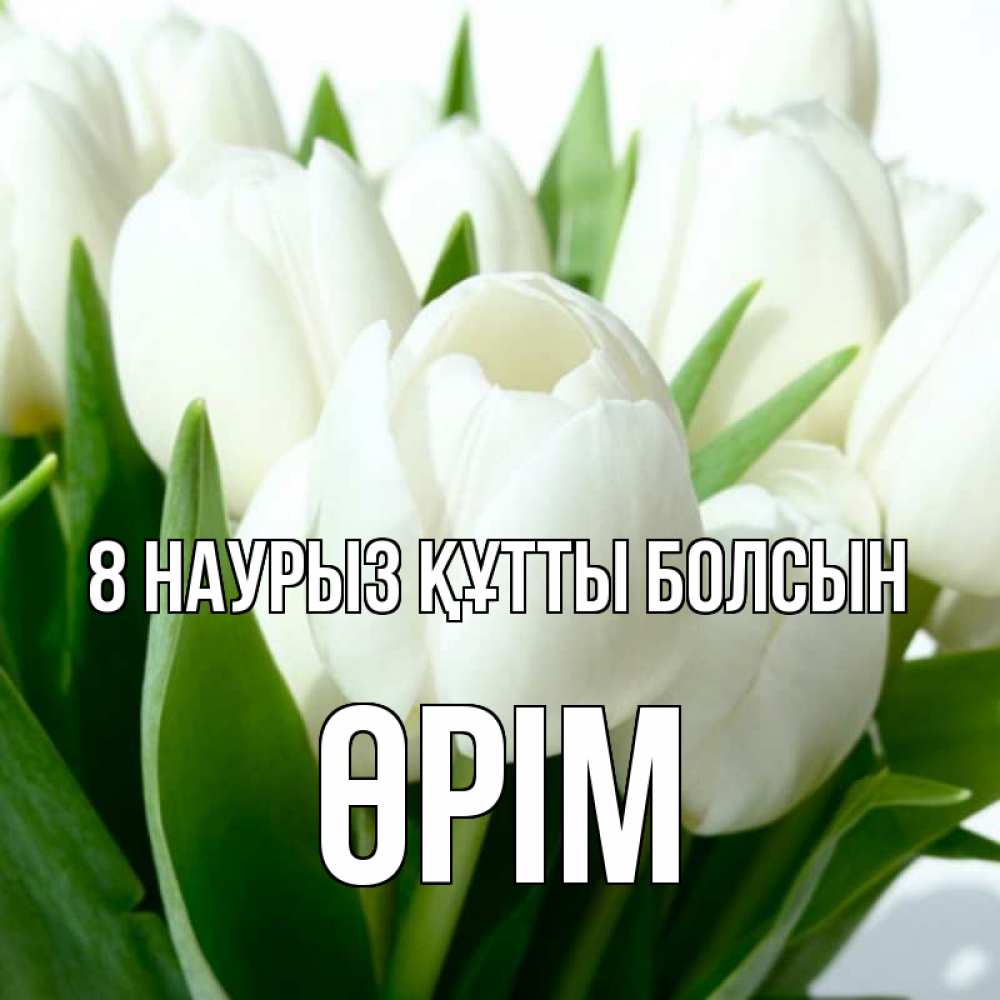 Күн сайын ашық хат с именем, ӨРІМ 8 наурыз құтты болсын цветы Онлайн тегін жүктеп алу тілектері бар керемет карта 