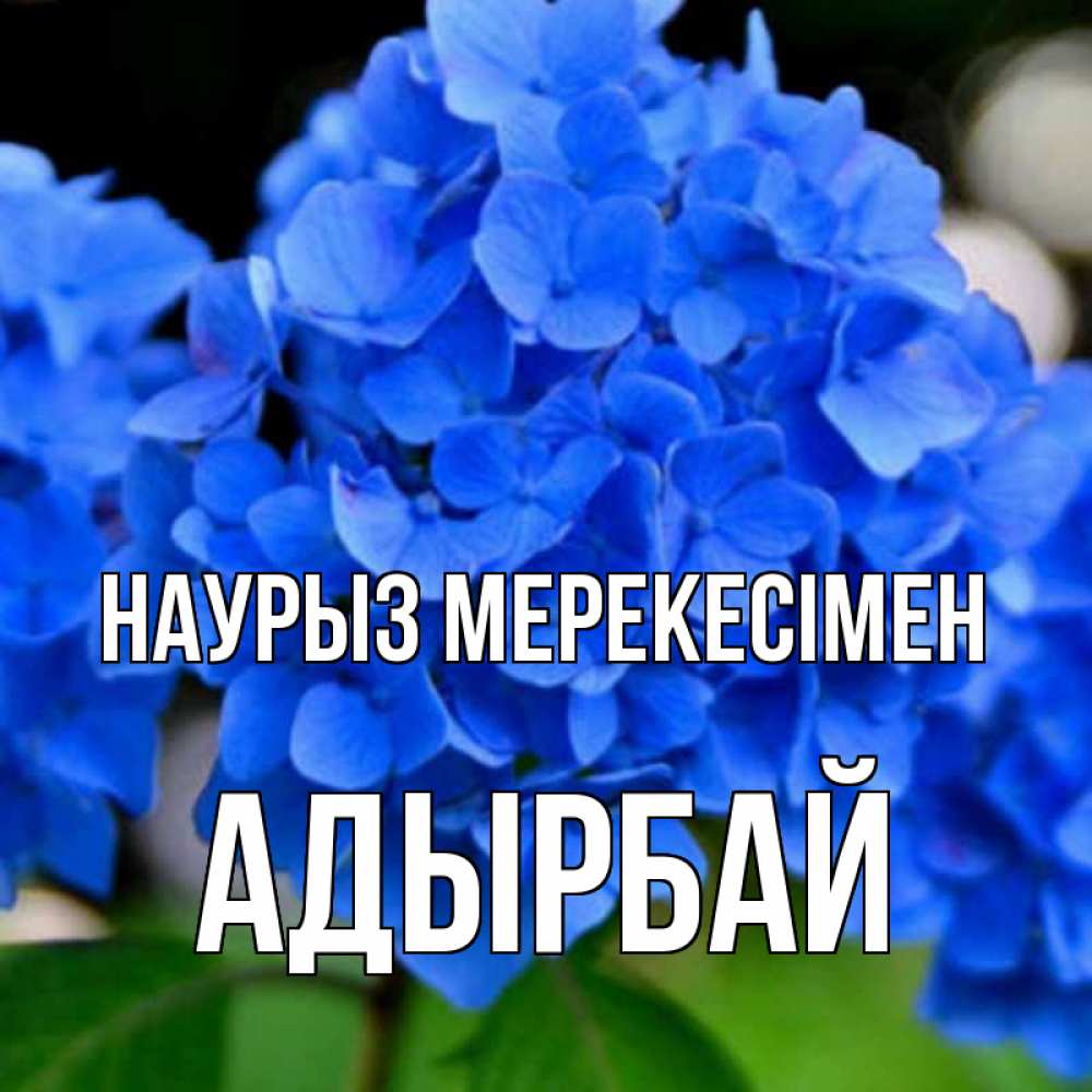 Күн сайын ашық хат с именем, Адырбай Наурыз мерекесімен синие цветы Онлайн тегін жүктеп алу тілектері бар керемет карта 