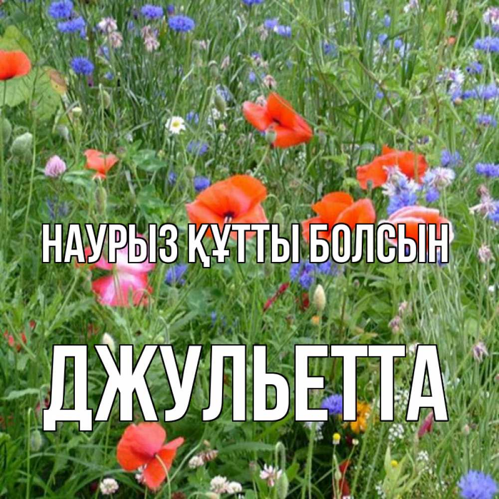 Күн сайын ашық хат с именем, Джульетта Наурыз құтты болсын наурыз  4 Онлайн тегін жүктеп алу тілектері бар керемет карта 
