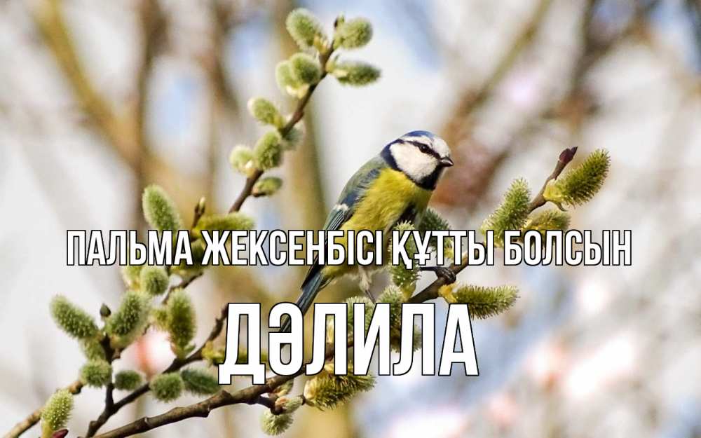 Күн сайын ашық хат с именем, ДӘЛИЛА Пальма жексенбісі құтты болсын верба Онлайн тегін жүктеп алу тілектері бар керемет карта 