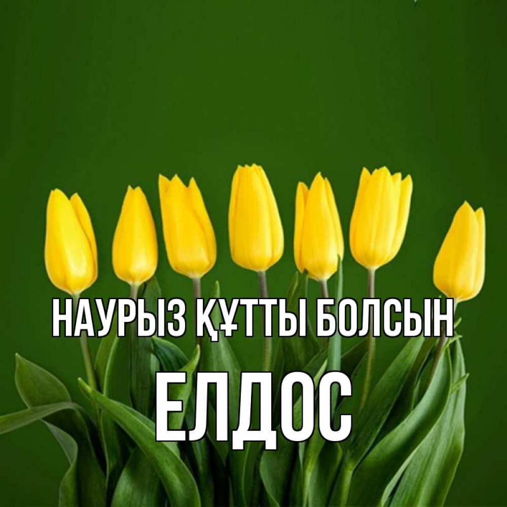 Күн сайын ашық хат с именем, Елдос Наурыз құтты болсын желтого цвета 3 Онлайн тегін жүктеп алу тілектері бар керемет карта 