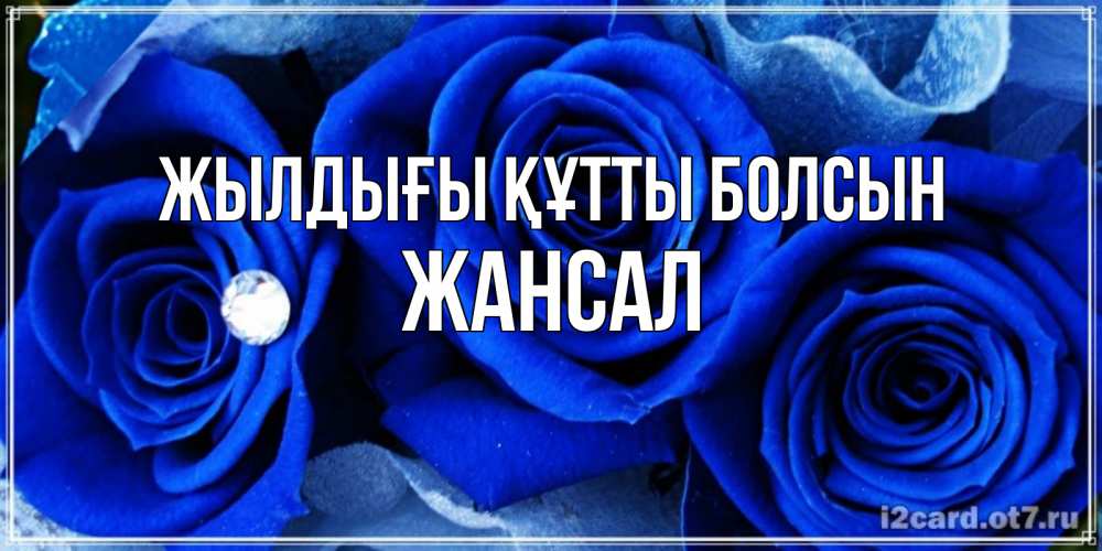 Күн сайын ашық хат с именем, Жансал Жылдығы құтты болсын синие розы в росе Онлайн тегін жүктеп алу тілектері бар керемет карта 