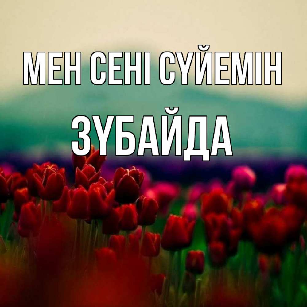 Күн сайын ашық хат с именем, ЗҮБАЙДА Мен сені сүйемін тюльпаны 4 Онлайн тегін жүктеп алу тілектері бар керемет карта 