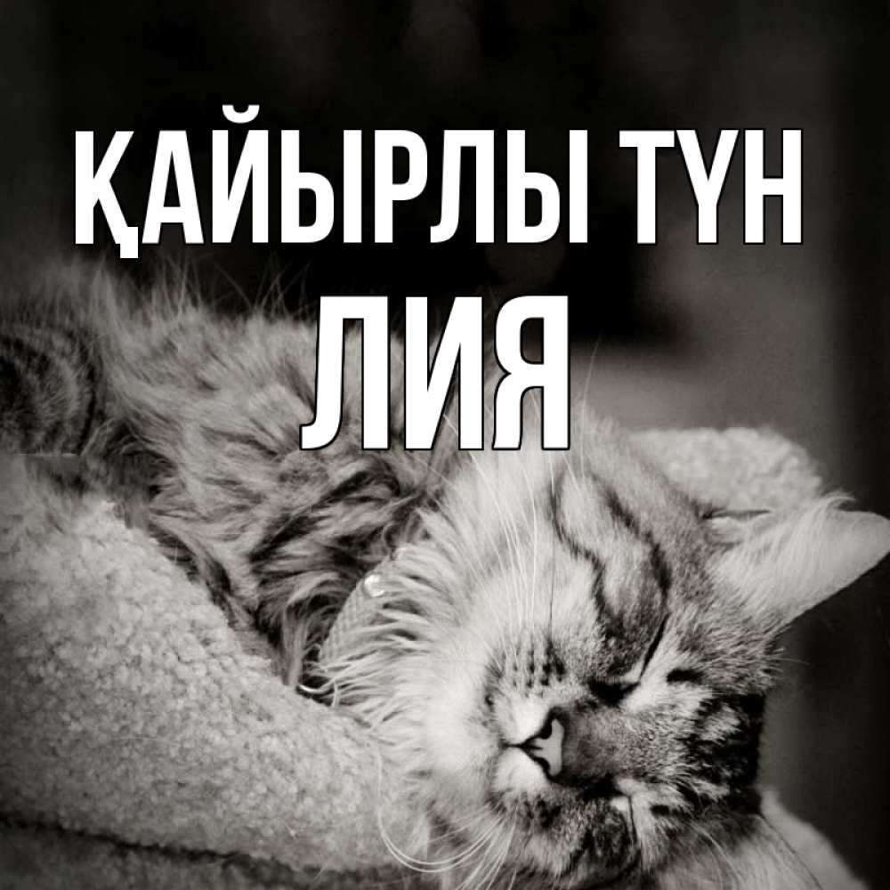 Күн сайын ашық хат с именем, Лия Қайырлы түн котярик пушистый Онлайн тегін жүктеп алу тілектері бар керемет карта 