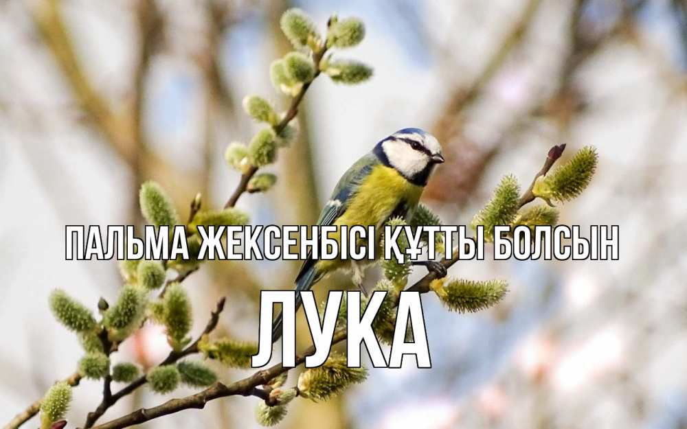 Күн сайын ашық хат с именем, Лука Пальма жексенбісі құтты болсын верба Онлайн тегін жүктеп алу тілектері бар керемет карта 