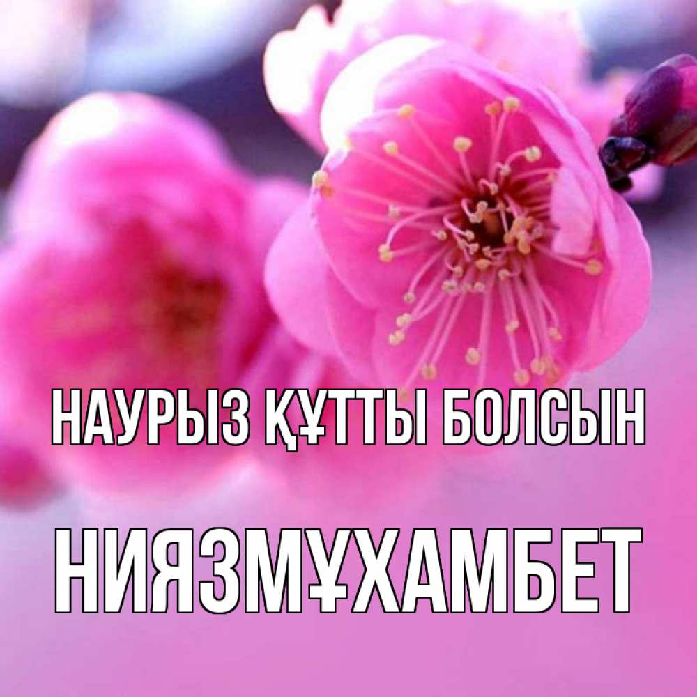 Күн сайын ашық хат с именем, НИЯЗМҰХАМБЕТ Наурыз құтты болсын наурыз мейрам Онлайн тегін жүктеп алу тілектері бар керемет карта 