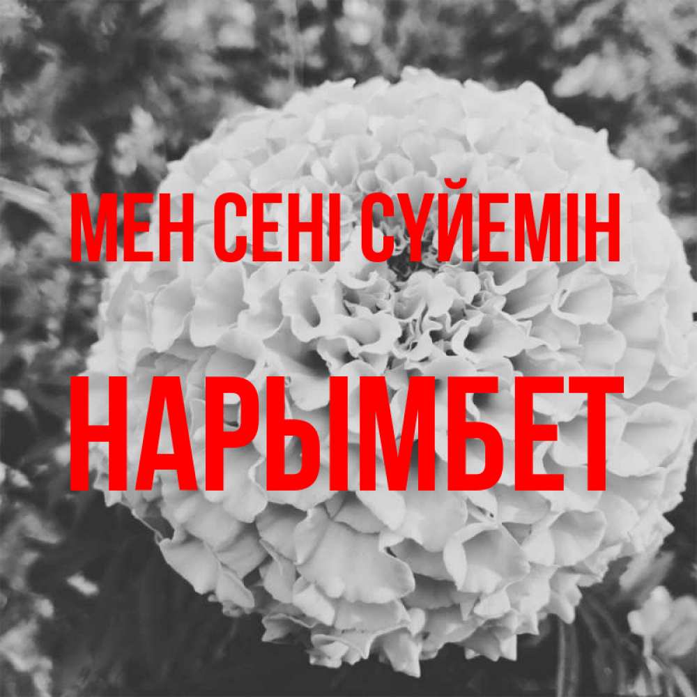 Күн сайын ашық хат с именем, Нарымбет Мен сені сүйемін подпись Онлайн тегін жүктеп алу тілектері бар керемет карта 
