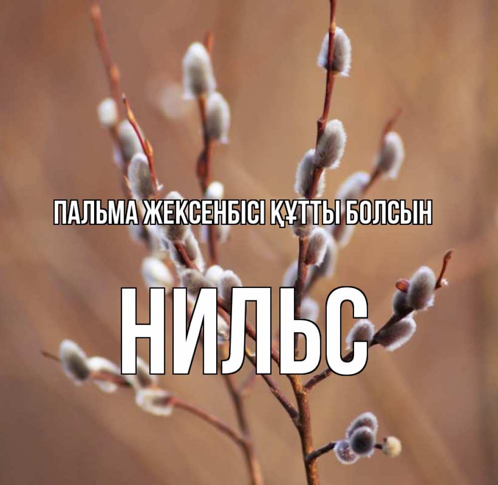 Күн сайын ашық хат с именем, Нильс Пальма жексенбісі құтты болсын верба Онлайн тегін жүктеп алу тілектері бар керемет карта 