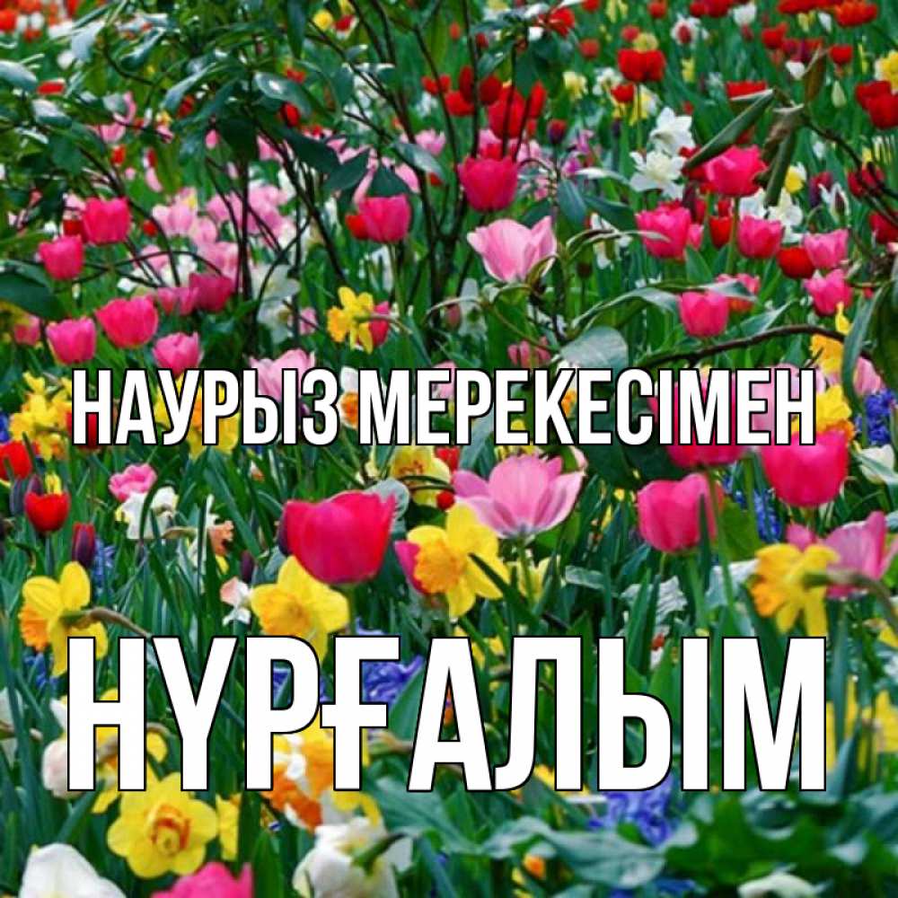 Күн сайын ашық хат с именем, НҮРҒАЛЫМ Наурыз мерекесімен с наурызом праздником весны поздравления для женщины Онлайн тегін жүктеп алу тілектері бар керемет карта 
