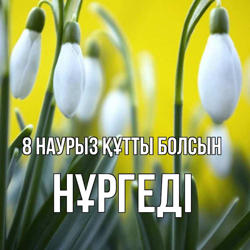 Күн сайын ашық хат с именем, НҰРГЕДІ 8 наурыз құтты болсын весенние цветы Онлайн тегін жүктеп алу тілектері бар керемет карта 