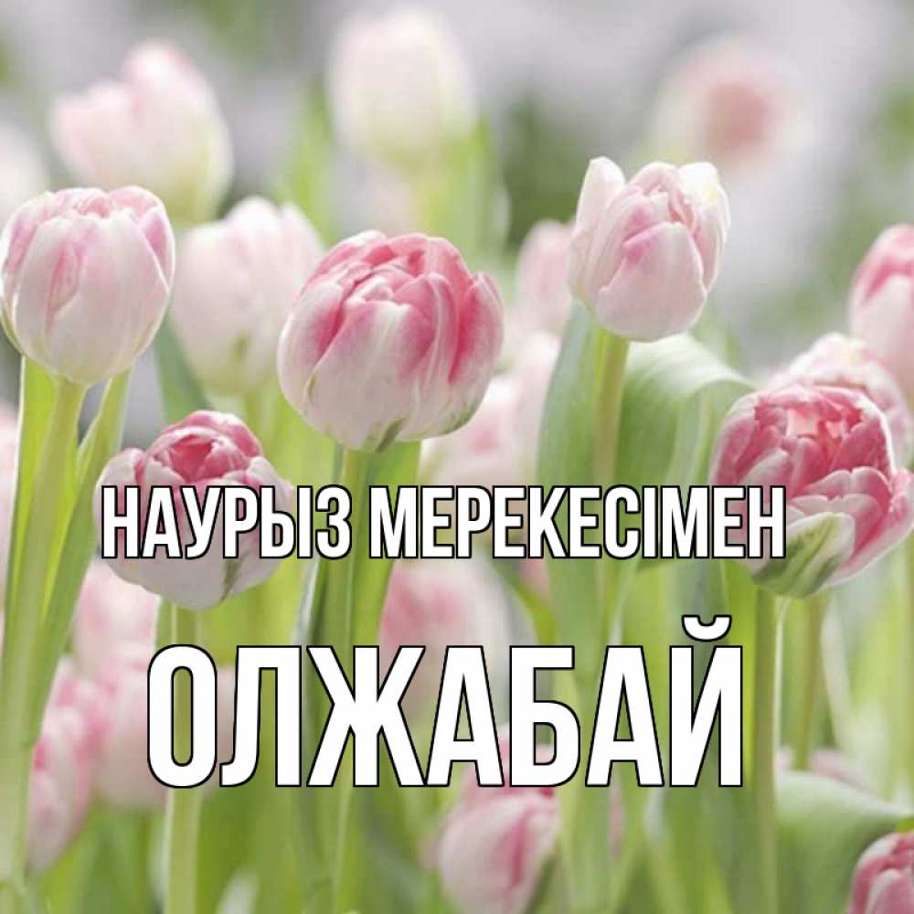 Күн сайын ашық хат с именем, ОЛЖАБАЙ Наурыз мерекесімен цветы Онлайн тегін жүктеп алу тілектері бар керемет карта 