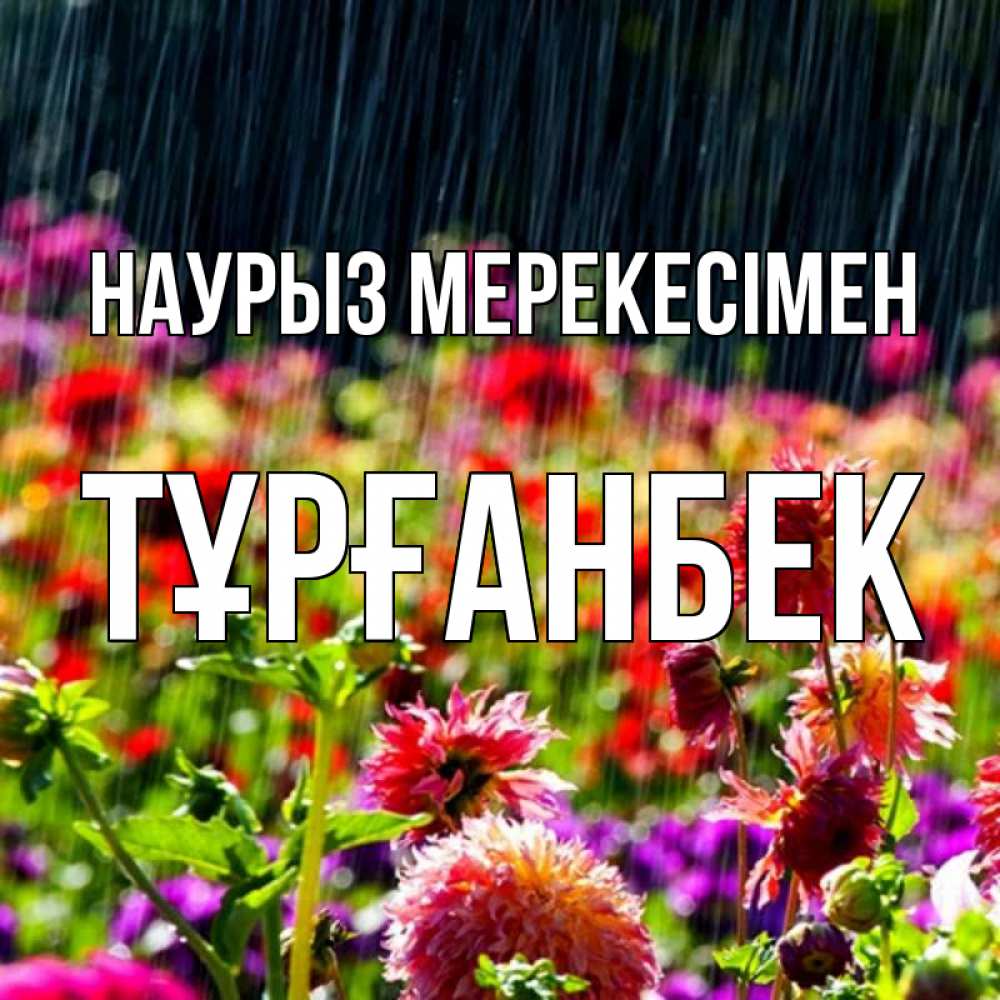 Күн сайын ашық хат с именем, ТҰРҒАНБЕК Наурыз мерекесімен цветы под дождиком к международному женскому дню Онлайн тегін жүктеп алу тілектері бар керемет карта 