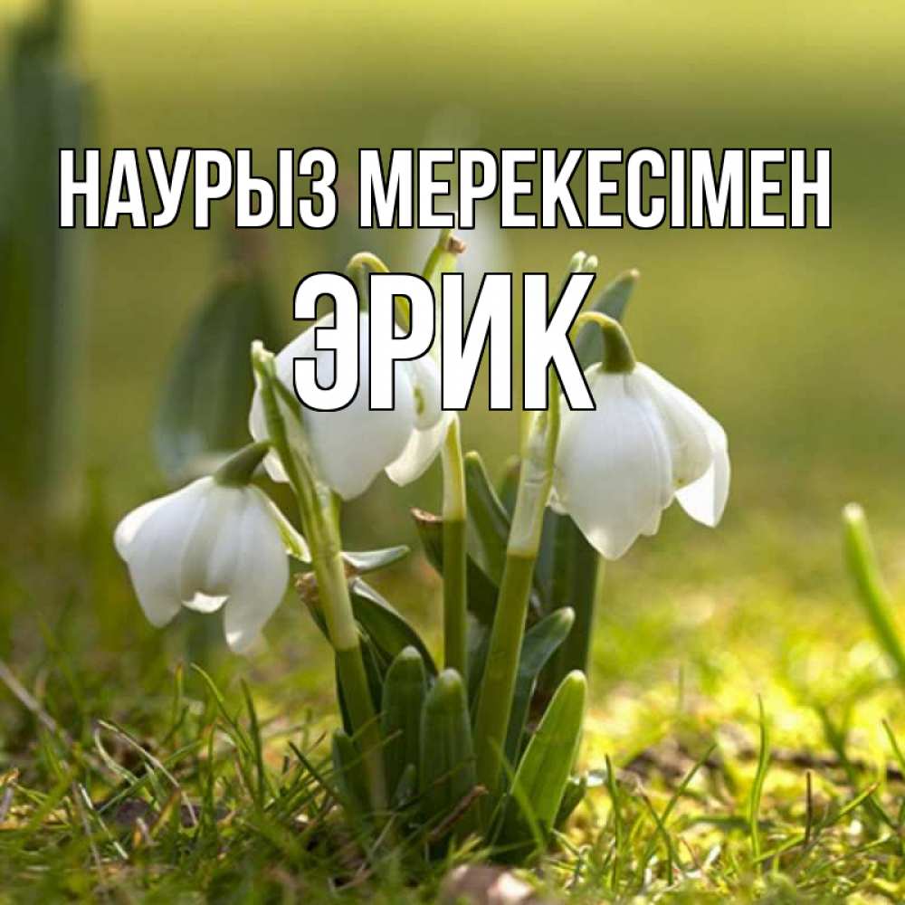 Күн сайын ашық хат с именем, Эрик Наурыз мерекесімен ранние цветы 2 Онлайн тегін жүктеп алу тілектері бар керемет карта 