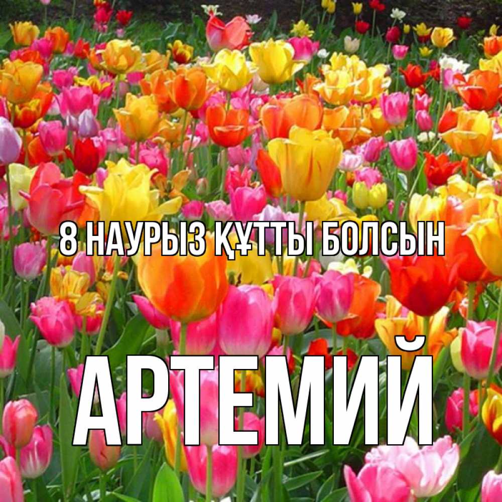 Күн сайын ашық хат с именем, Артемий 8 наурыз құтты болсын на международный женский день Онлайн тегін жүктеп алу тілектері бар керемет карта 