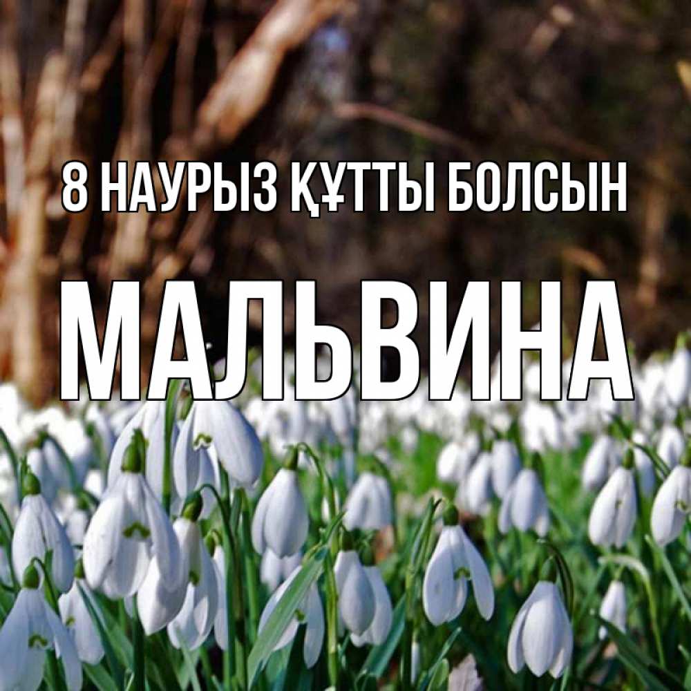 Күн сайын ашық хат с именем, Мальвина 8 наурыз құтты болсын с подснежниками 1 Онлайн тегін жүктеп алу тілектері бар керемет карта 
