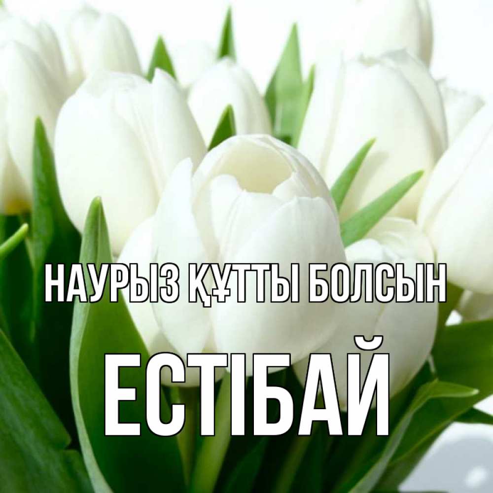 Күн сайын ашық хат с именем, Естібай Наурыз құтты болсын цветы Онлайн тегін жүктеп алу тілектері бар керемет карта 