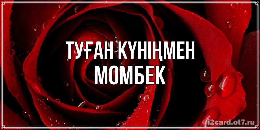 Күн сайын ашық хат с именем, МОМБЕК Туған күніңмен крупная бордовая роза Онлайн тегін жүктеп алу тілектері бар керемет карта 