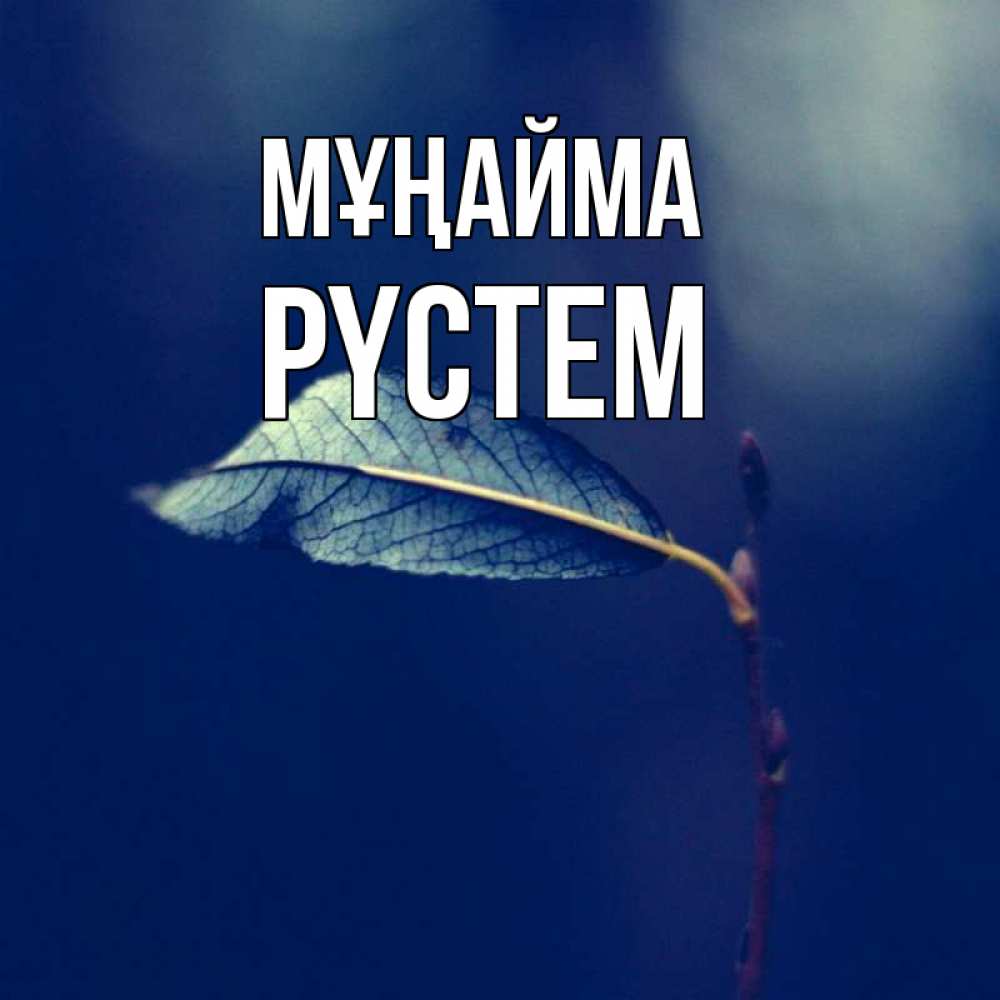 Күн сайын ашық хат с именем, РҮСТЕМ Мұңайма растение Онлайн тегін жүктеп алу тілектері бар керемет карта 