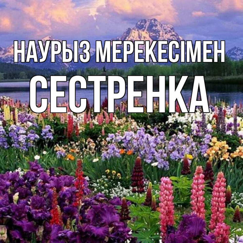 Открытка атымен, Сестренка, Наурыз мерекесімен