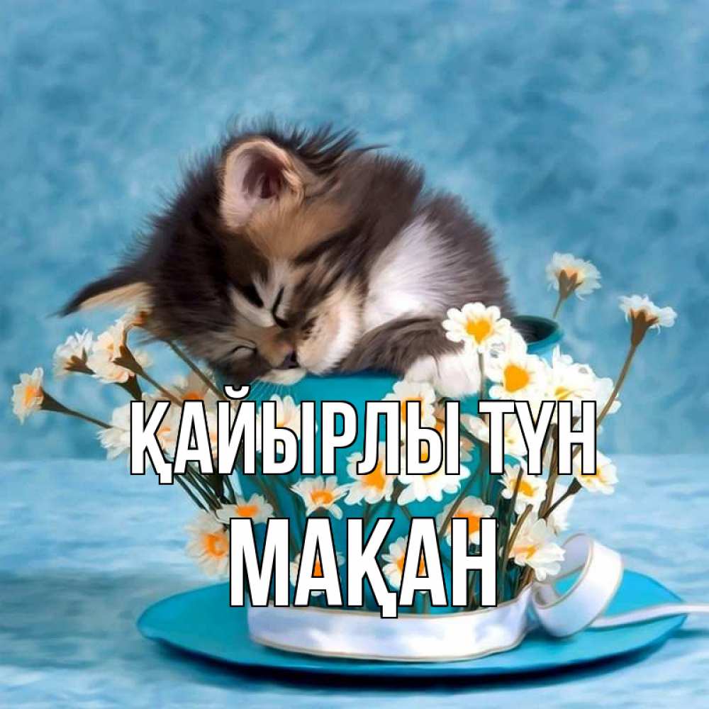 Күн сайын ашық хат с именем, Мақан Қайырлы түн котенок спит в кружке с блюдцем Онлайн тегін жүктеп алу тілектері бар керемет карта 