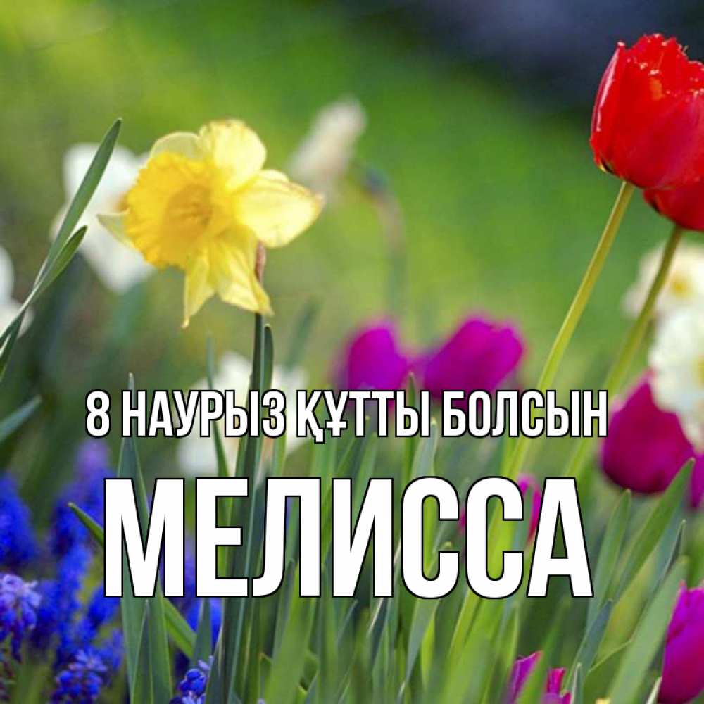 Күн сайын ашық хат с именем, Мелисса 8 наурыз құтты болсын международный женский день 3 Онлайн тегін жүктеп алу тілектері бар керемет карта 