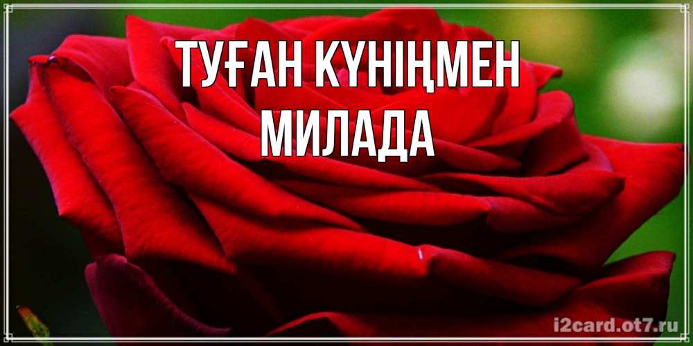 Күн сайын ашық хат с именем, Милада Туған күніңмен розочка очень красивая Онлайн тегін жүктеп алу тілектері бар керемет карта 