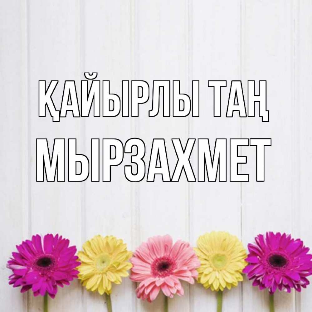 Күн сайын ашық хат с именем, МЫРЗАХМЕТ Қайырлы таң красный желтый и розовый цветок Онлайн тегін жүктеп алу тілектері бар керемет карта 