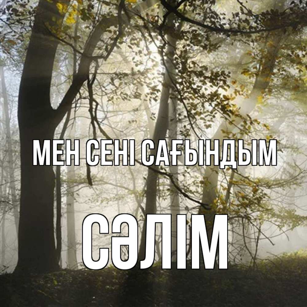 Күн сайын ашық хат с именем, СӘЛІМ Мен сені сағындым грустно Онлайн тегін жүктеп алу тілектері бар керемет карта 