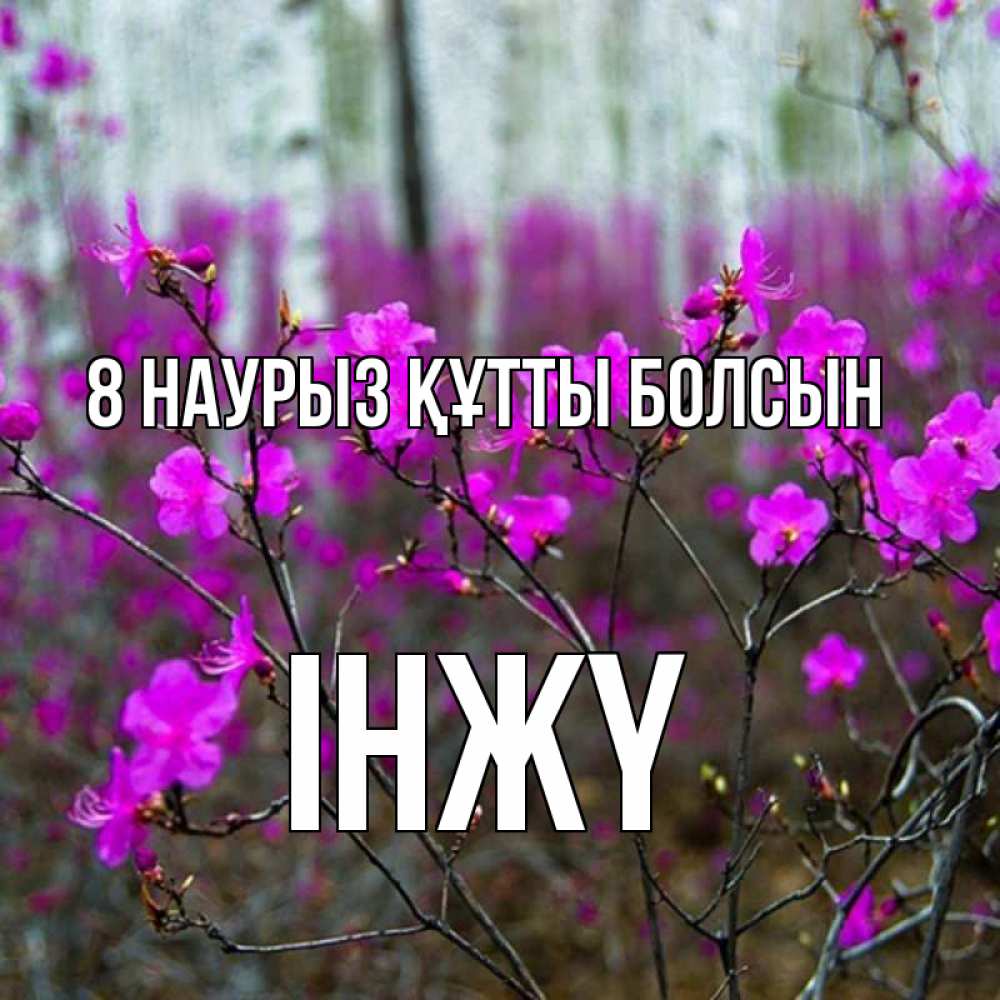 Күн сайын ашық хат с именем, ІНЖҮ 8 наурыз құтты болсын дикие цветы Онлайн тегін жүктеп алу тілектері бар керемет карта 