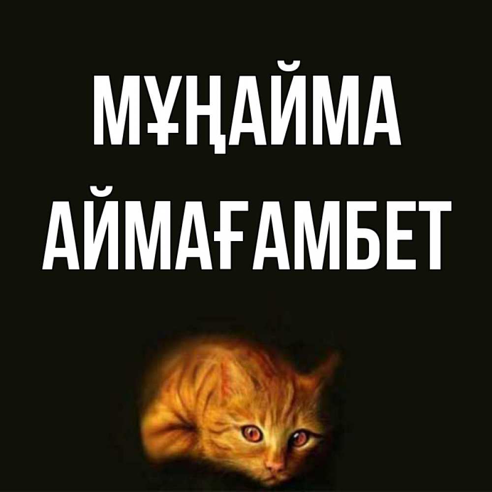 Күн сайын ашық хат с именем, Аймағамбет Мұңайма лежащий кот в темноте Онлайн тегін жүктеп алу тілектері бар керемет карта 