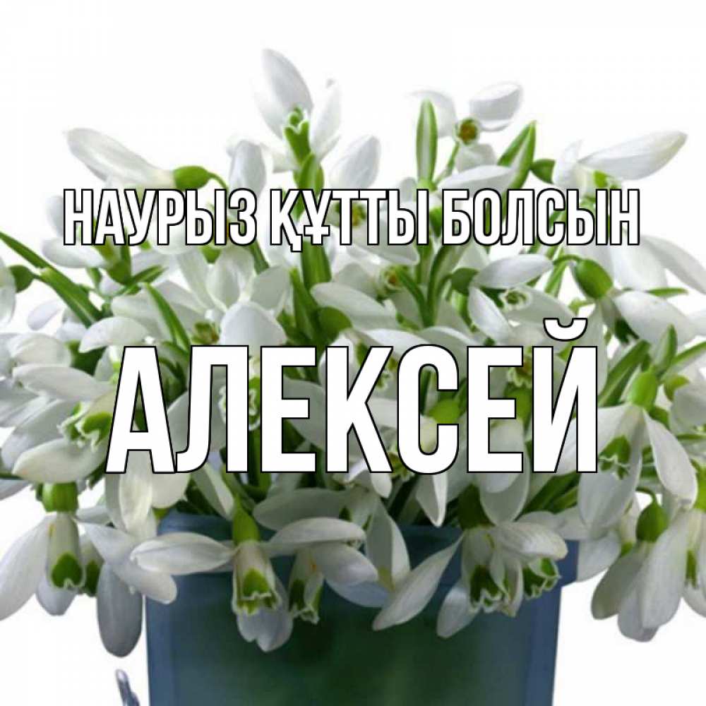 Күн сайын ашық хат с именем, Алексей Наурыз құтты болсын цветы к наурызу Онлайн тегін жүктеп алу тілектері бар керемет карта 