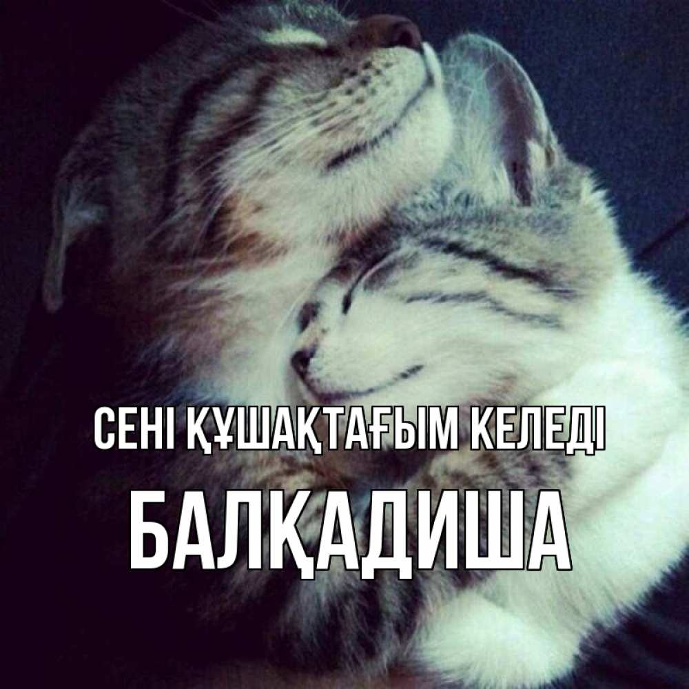 Күн сайын ашық хат с именем, БАЛҚАДИША сені құшақтағым келеді полосатики Онлайн тегін жүктеп алу тілектері бар керемет карта 