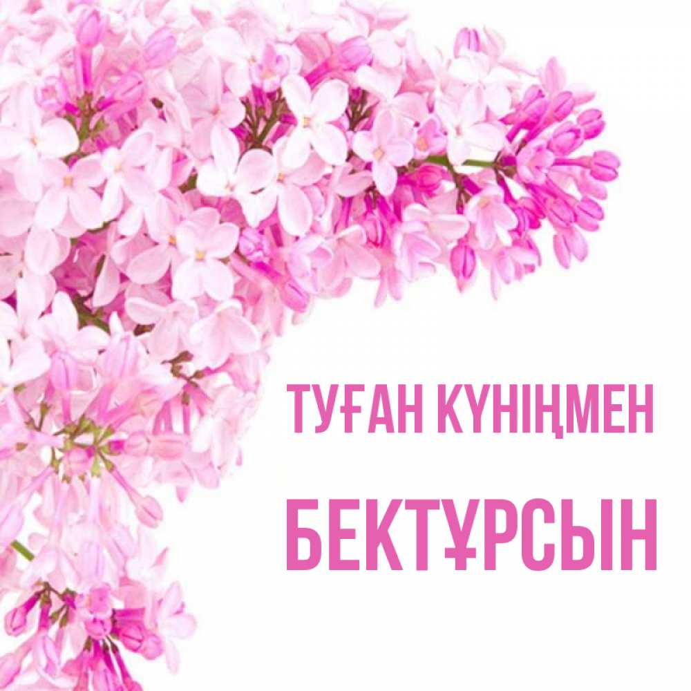 Күн сайын ашық хат с именем, Бектұрсын Туған күніңмен Сирень на белом фоне Онлайн тегін жүктеп алу тілектері бар керемет карта 