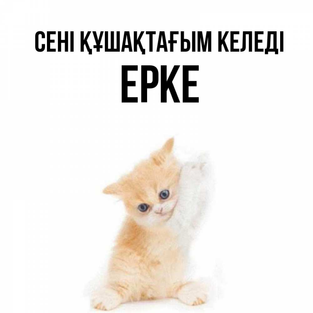 Күн сайын ашық хат с именем, ЕРКЕ сені құшақтағым келеді я хочу очень скорее обнимаешек Онлайн тегін жүктеп алу тілектері бар керемет карта 