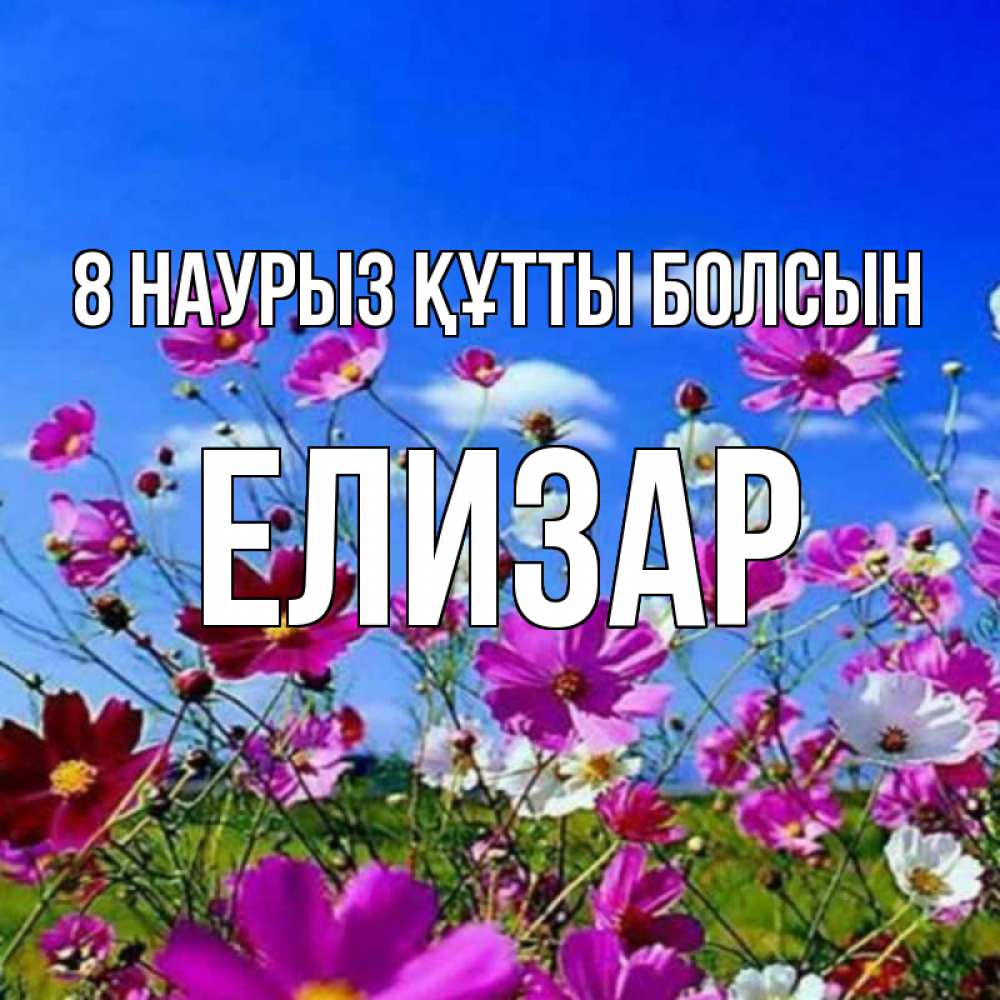 Күн сайын ашық хат с именем, Елизар 8 наурыз құтты болсын цветы Онлайн тегін жүктеп алу тілектері бар керемет карта 