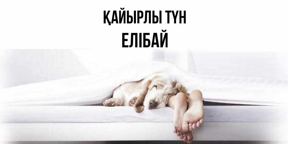 Күн сайын ашық хат с именем, Елібай Қайырлы түн кровать с собакой пожелание сладких снов и спокойной ночи Онлайн тегін жүктеп алу тілектері бар керемет карта 