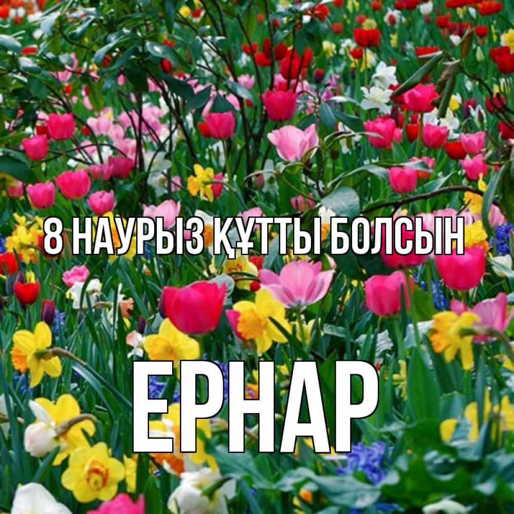 Күн сайын ашық хат с именем, Ернар 8 наурыз құтты болсын с международным женским днем поздравления для женщины Онлайн тегін жүктеп алу тілектері бар керемет карта 