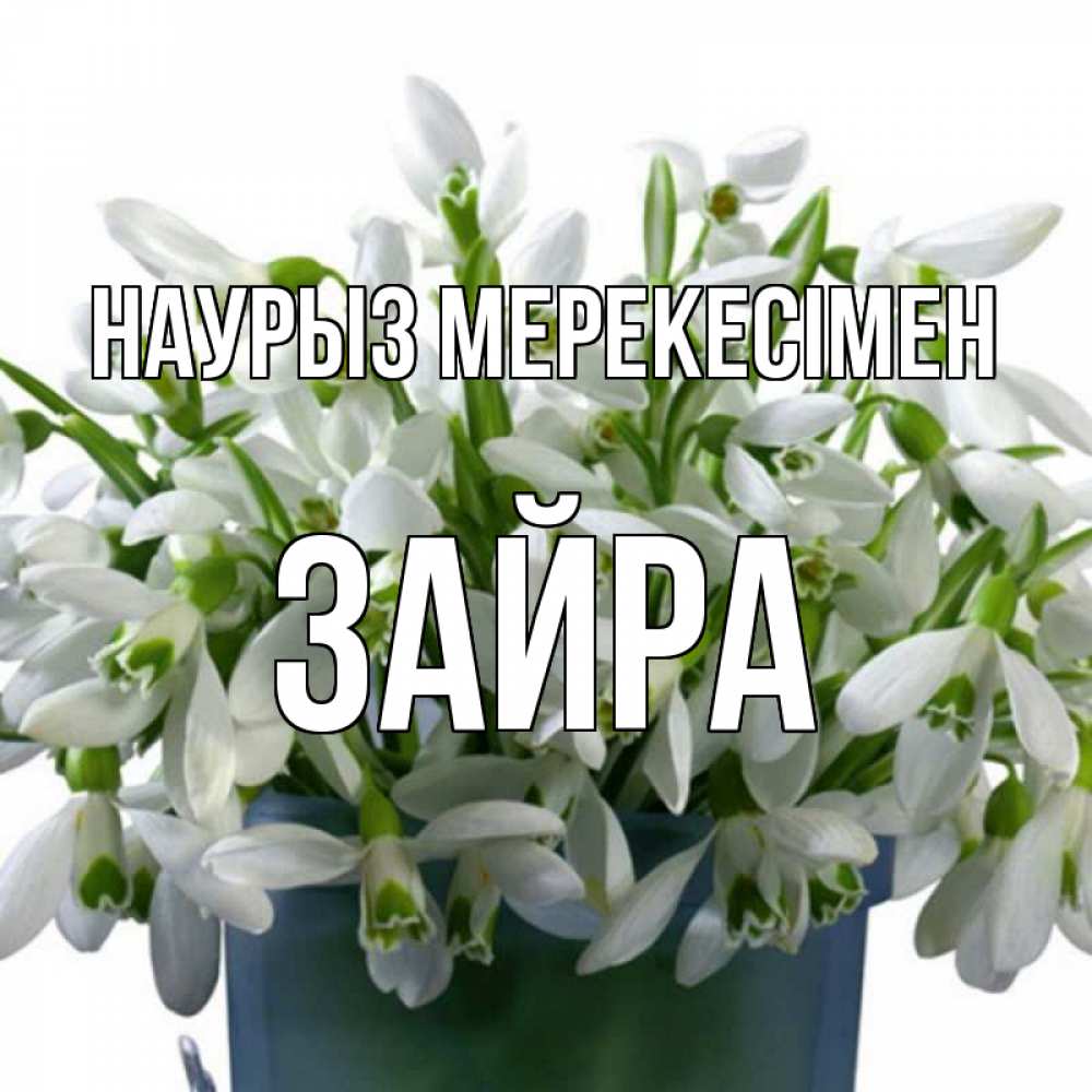 Күн сайын ашық хат с именем, ЗАЙРА Наурыз мерекесімен цветы к наурызу новый год в Казахстане Онлайн тегін жүктеп алу тілектері бар керемет карта 