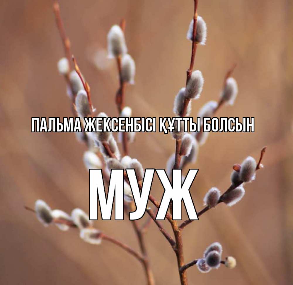 Күн сайын ашық хат с именем, Муж Пальма жексенбісі құтты болсын верба Онлайн тегін жүктеп алу тілектері бар керемет карта 
