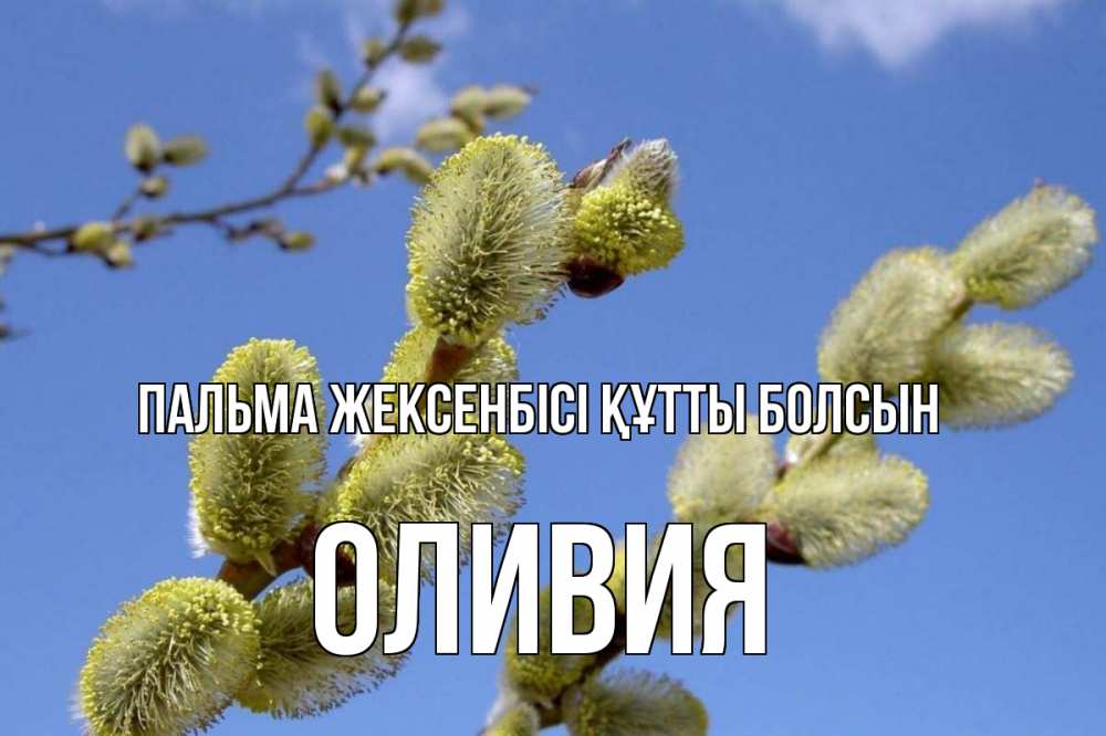 Күн сайын ашық хат с именем, Оливия Пальма жексенбісі құтты болсын верба Онлайн тегін жүктеп алу тілектері бар керемет карта 
