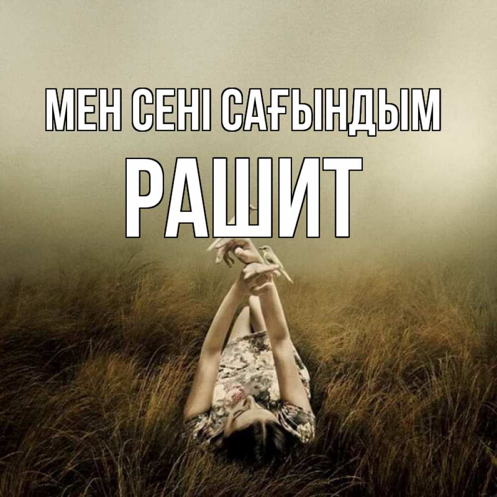Күн сайын ашық хат с именем, РАШИТ Мен сені сағындым девушка с голубями Онлайн тегін жүктеп алу тілектері бар керемет карта 