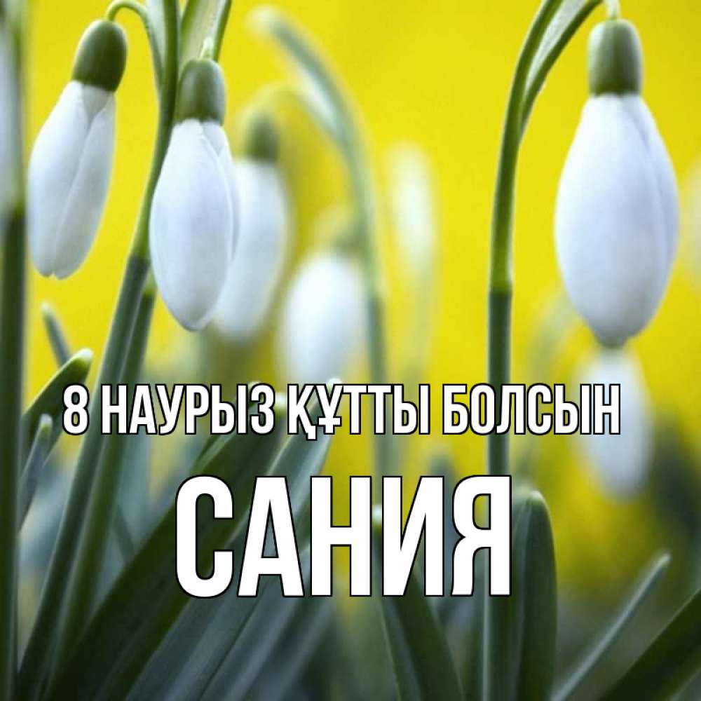 Күн сайын ашық хат с именем, Сания 8 наурыз құтты болсын весенние цветы Онлайн тегін жүктеп алу тілектері бар керемет карта 