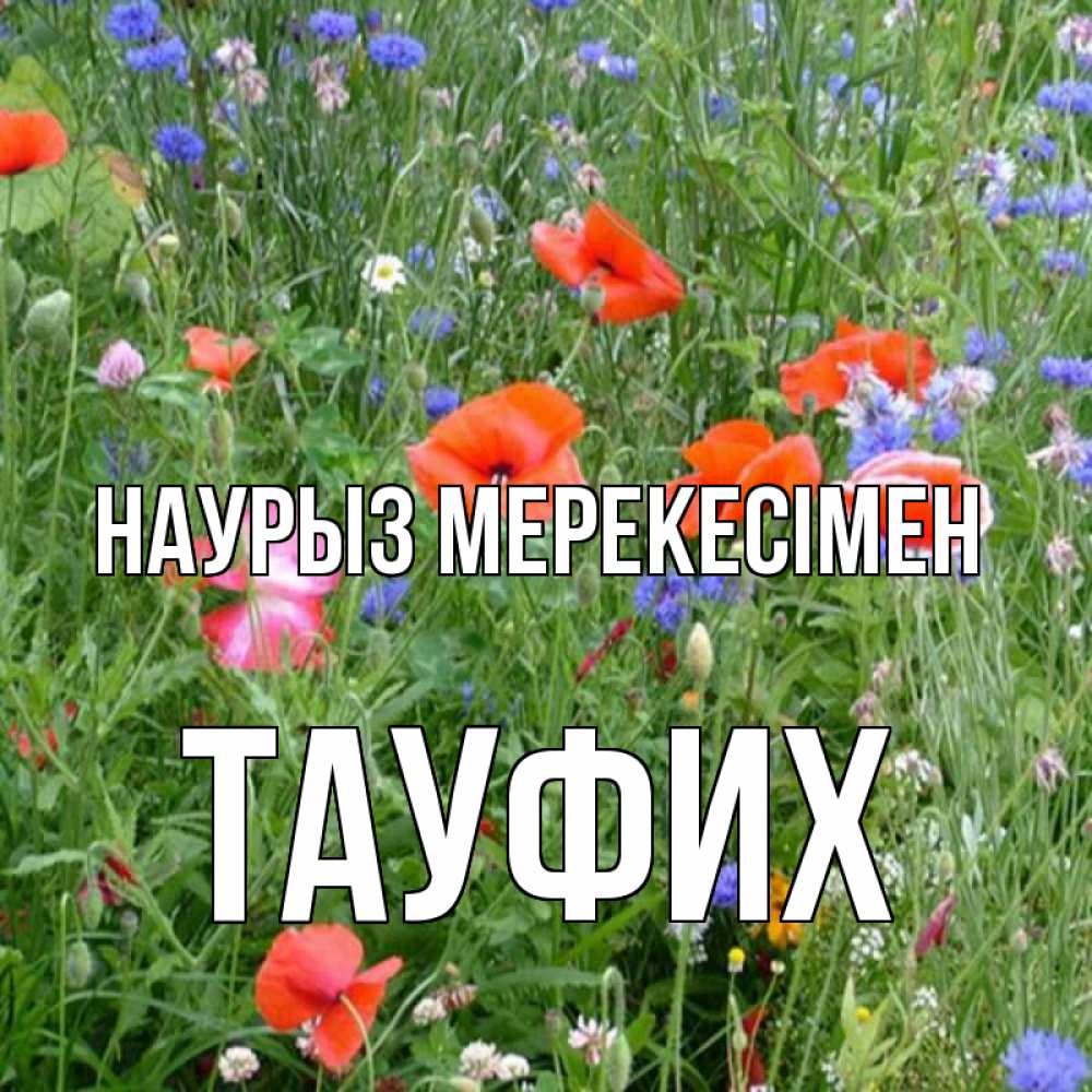 Күн сайын ашық хат с именем, ТАУФИХ Наурыз мерекесімен праздник весны наурыз супер открытка Онлайн тегін жүктеп алу тілектері бар керемет карта 