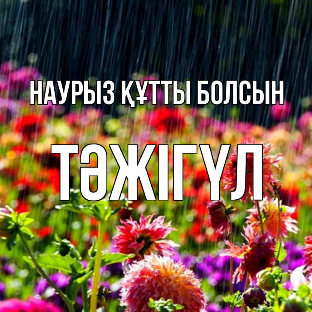 Күн сайын ашық хат с именем, ТӘЖІГҮЛ Наурыз құтты болсын цветы под дождиком к наурызу Онлайн тегін жүктеп алу тілектері бар керемет карта 
