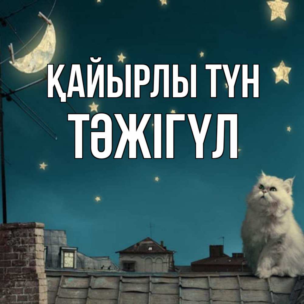 Күн сайын ашық хат с именем, ТӘЖІГҮЛ Қайырлы түн белый кот сидит на крыше Онлайн тегін жүктеп алу тілектері бар керемет карта 