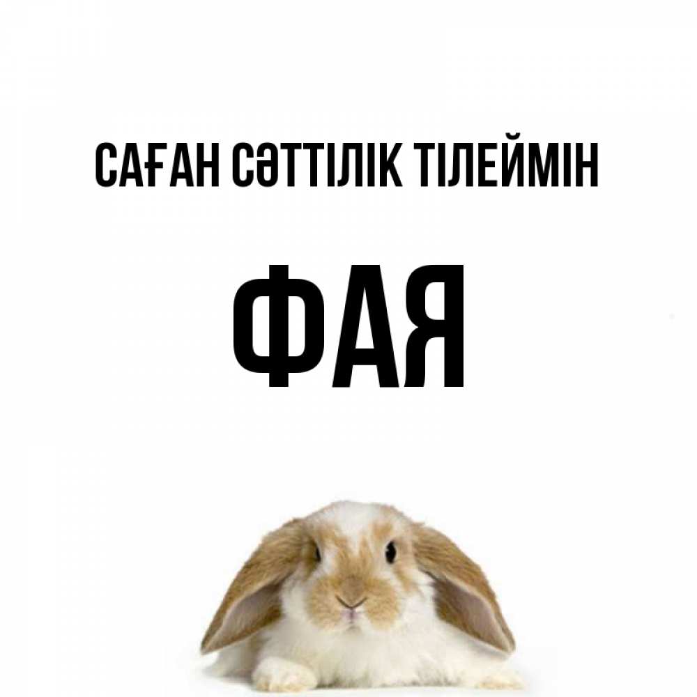 Күн сайын ашық хат с именем, Фая Саған сәттілік тілеймін открытки с произвольным текстом который можно вставить в открытку и создать ее самостоятельно бесплатно онлайн Онлайн тегін жүктеп алу тілектері бар керемет карта 