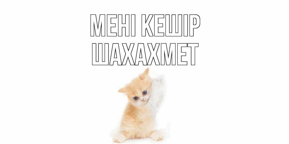 Күн сайын ашық хат с именем, ШАХАХМЕТ Мені кешір кот Онлайн тегін жүктеп алу тілектері бар керемет карта 