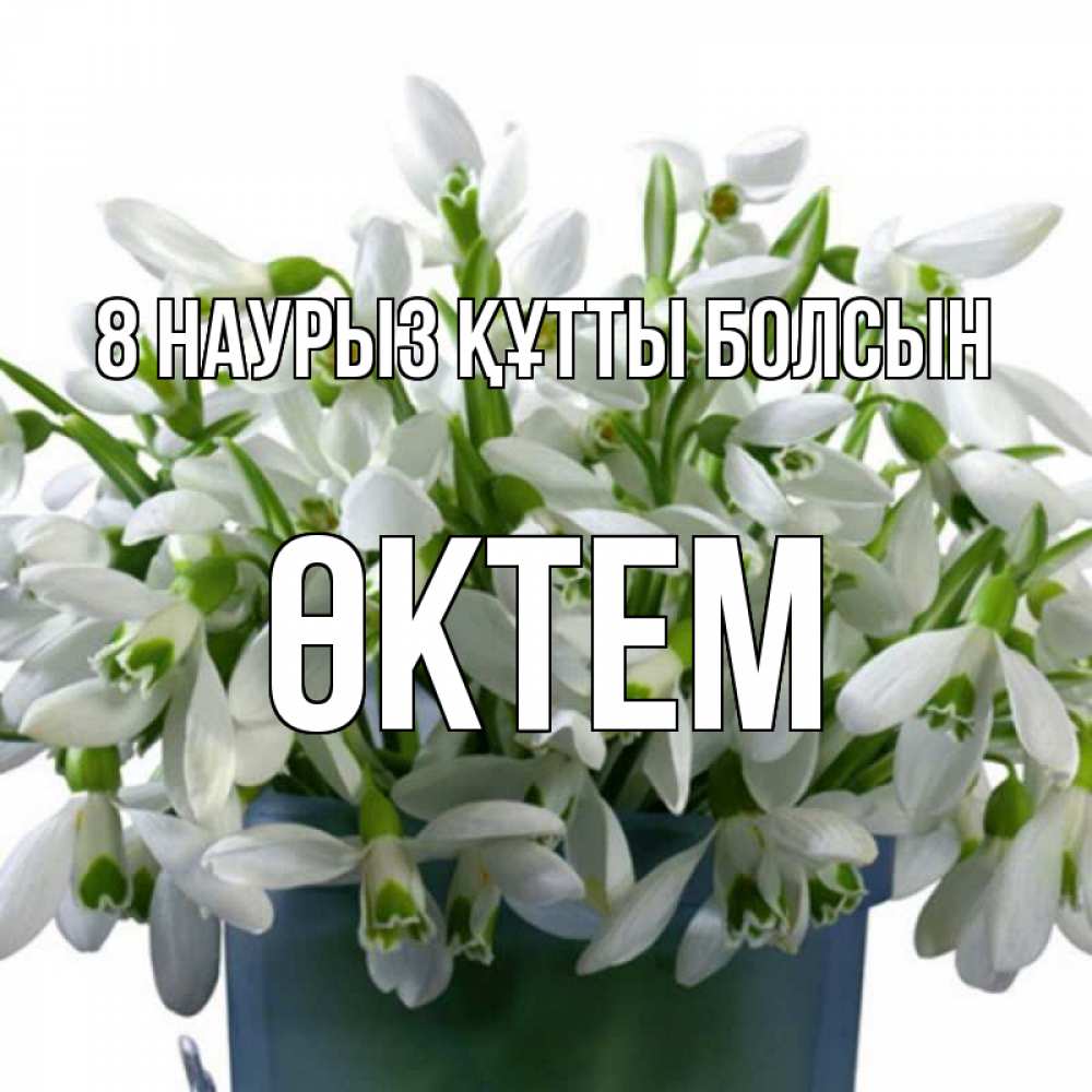 Күн сайын ашық хат с именем, ӨКТЕМ 8 наурыз құтты болсын цветы к международному женскому дню Онлайн тегін жүктеп алу тілектері бар керемет карта 