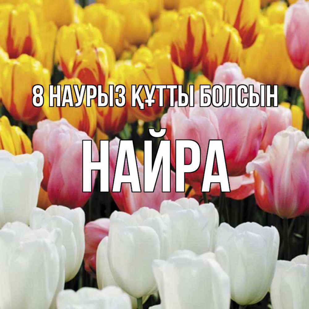 Күн сайын ашық хат с именем, НАЙРА 8 наурыз құтты болсын разноцветные цветы Онлайн тегін жүктеп алу тілектері бар керемет карта 