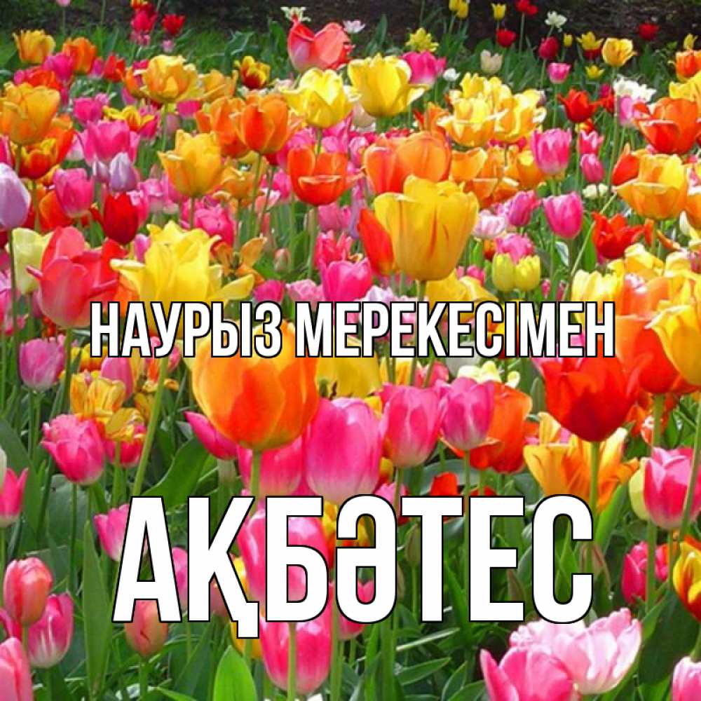Күн сайын ашық хат с именем, АҚБӘТЕС Наурыз мерекесімен праздник весны наурыз 4 Онлайн тегін жүктеп алу тілектері бар керемет карта 